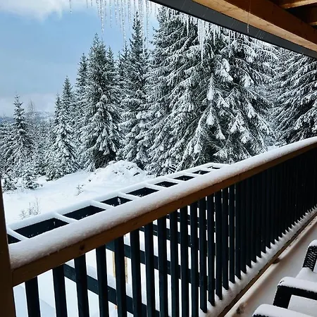 Cabana Merlin - Statiunea Muntele Baisorii Holiday home Cluj-Napoca