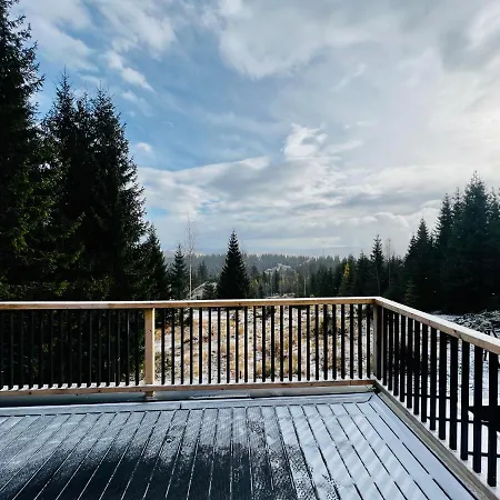 Cabana Merlin - Statiunea Muntele Baisorii Holiday home *